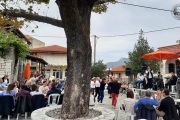 GiortiKastanou2023_9