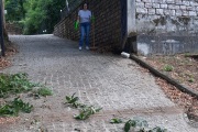 Mouseio_cleaning1
